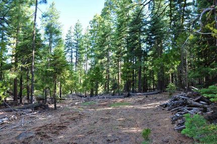 Timberland Property in Modoc County, California
