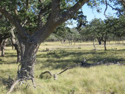 Farm and Ranch in Kerr County, Texas