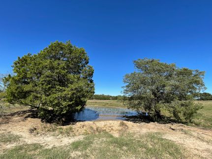 Recreational Property in Freestone County, Texas