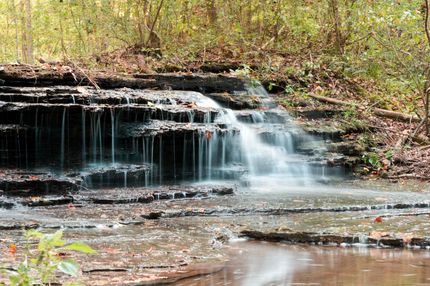 Timberland Property in Cheatham County, Tennessee