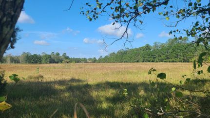 Recreational Property in Hardin County, Texas