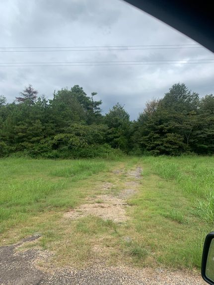 Undeveloped Land in Chicot County, Arkansas