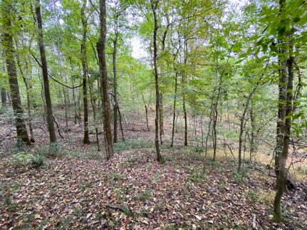Farm and Ranch in Holmes County, Mississippi