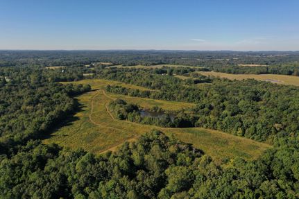 Timberland Property in Union County, Illinois