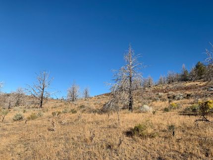 Undeveloped Land in Klamath County, Oregon