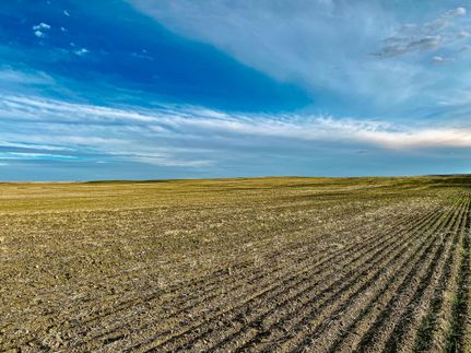 Farm and Ranch in Blaine County, Montana