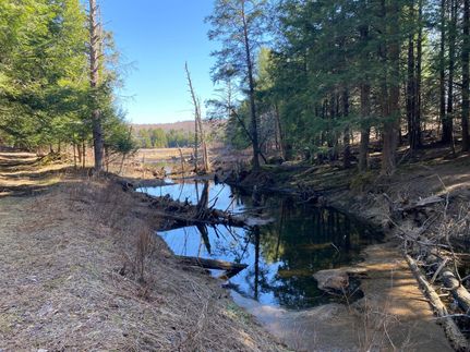 Recreational Property in Wayne County, Pennsylvania