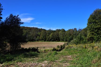 Undeveloped Land in Chautauqua County, New York