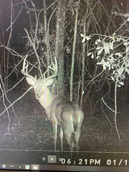 Land in Macon County, Georgia