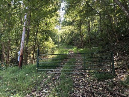 Hunting Property in Lewis County, West Virginia