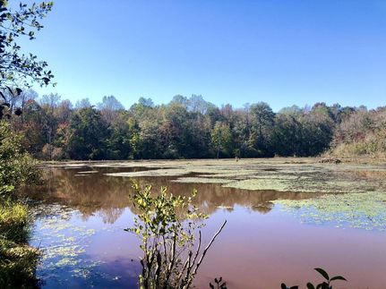 Land in Macon County, Georgia