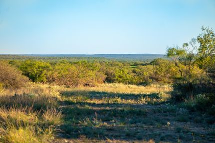 Timberland Property in Coleman County, Texas