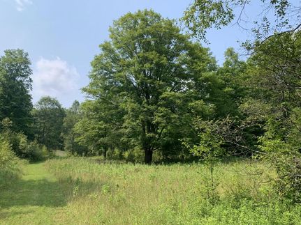 Recreational Property in Wexford County, Michigan