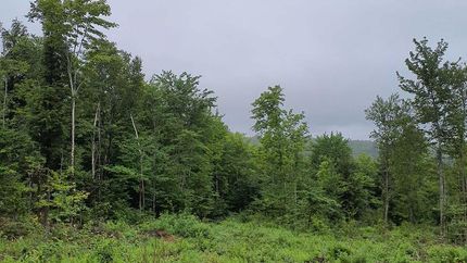 Farm and Ranch in Penobscot County, Maine