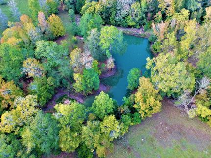 Farm and Ranch in Tyler County, Texas