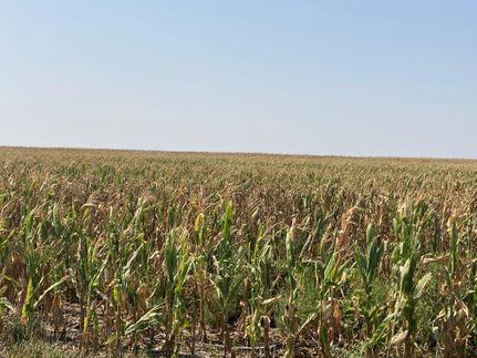 Land in Chase County, Nebraska