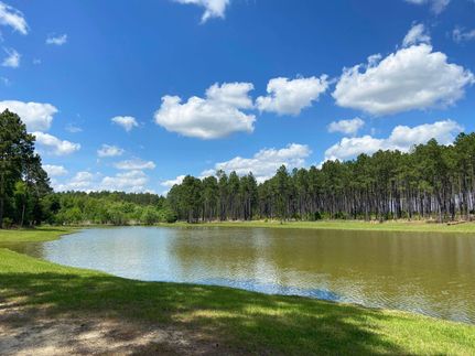 Recreational Property in Wilcox County, Georgia