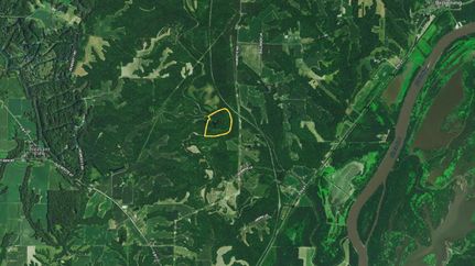 Undeveloped Land in Schuyler County, Illinois