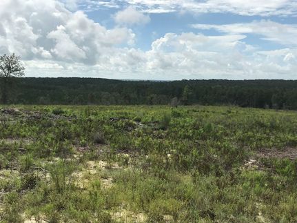 Horse Property in Jackson County, Florida