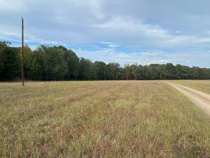 Commercial Property in Harrison County, Texas