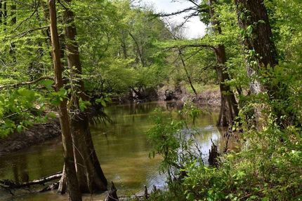 Farm and Ranch in Nevada County, Arkansas