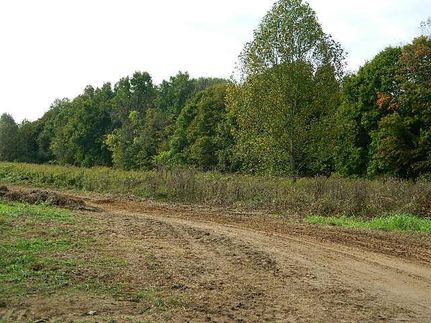 Undeveloped Land in Washington County, Indiana