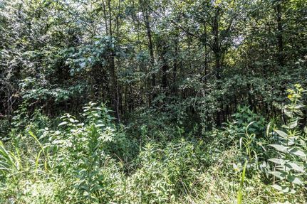 Land in Butler County, Missouri