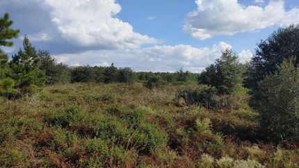 Recreational Property in Camden County, Georgia