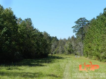 Recreational Property in Evangeline Parish, Louisiana