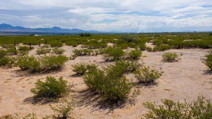 Farm and Ranch in Cochise County, Arizona