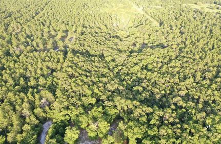 Oceanfront Property in Taylor County, Florida
