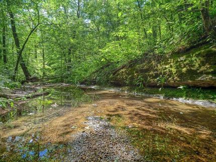 Timberland Property in Williamson County, Tennessee