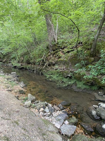 Farm and Ranch in Wright County, Missouri