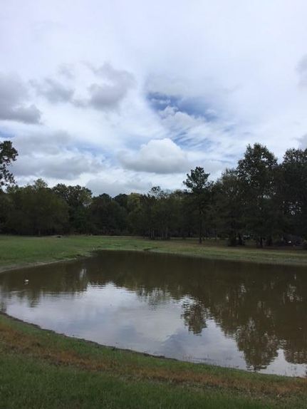 Recreational Property in Houston County, Texas