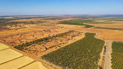 Land in Sutter County, California