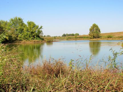 Farm and Ranch in Crittenden County, Kentucky