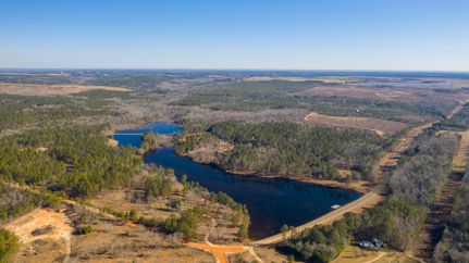 Lakefront Property in Taylor County, Georgia