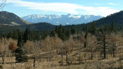 Undeveloped Land in Chaffee County, Colorado