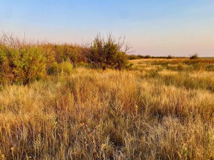 Timberland Property in Kiowa County, Colorado