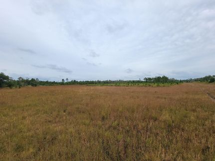 Undeveloped Land in Volusia County, Florida