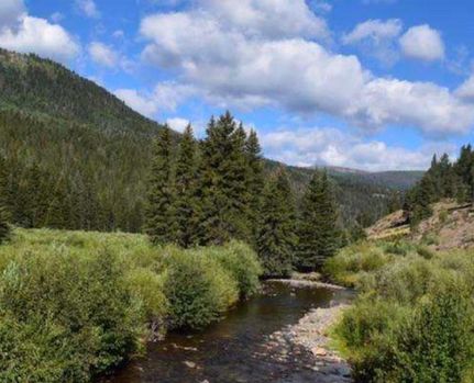 Riverfront Property in Jackson County, Colorado