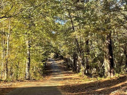 Recreational Property in Morris County, Texas