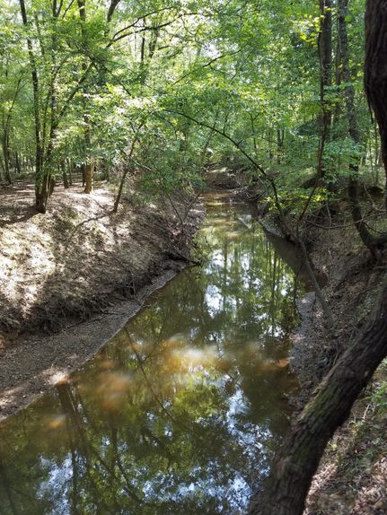 Timberland Property in Nacogdoches County, Texas