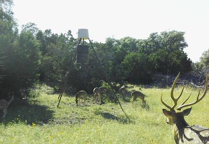 Hunting Property in Edwards County, Texas