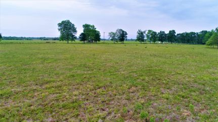 Undeveloped Land in Houston County, Texas