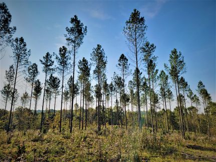 Land in Stewart County, Tennessee