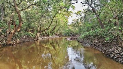 Farm and Ranch in Jackson County, Texas