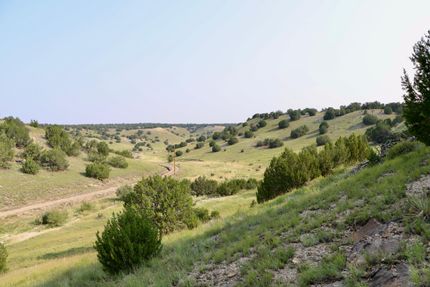 Undeveloped Land in Las Animas County, Colorado