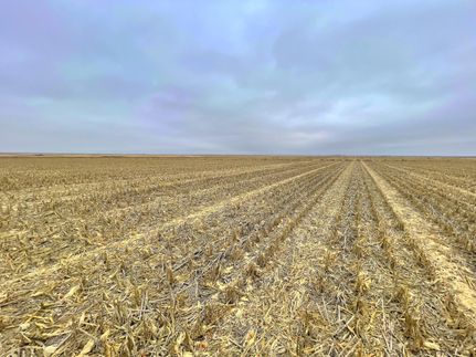 Farm and Ranch in Rooks County, Kansas