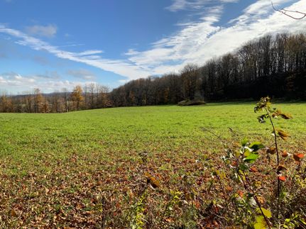 Recreational Property in Herkimer County, New York
